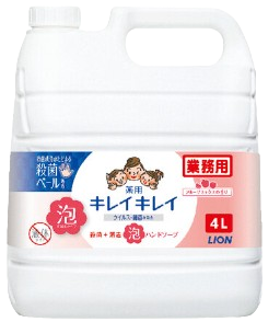 Kirei Kirei Foam Hand Soap Fruit 4L (Refill) [3 pieces per case]