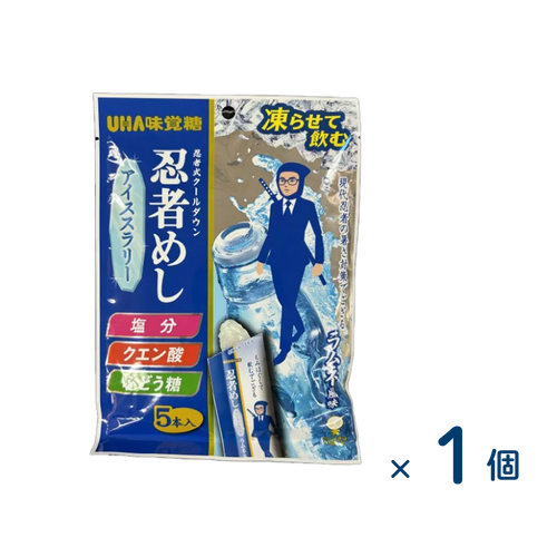 Mikakuto Ninja Meshi Ice Slurry (Best before date 2026/08/31) 1 piece