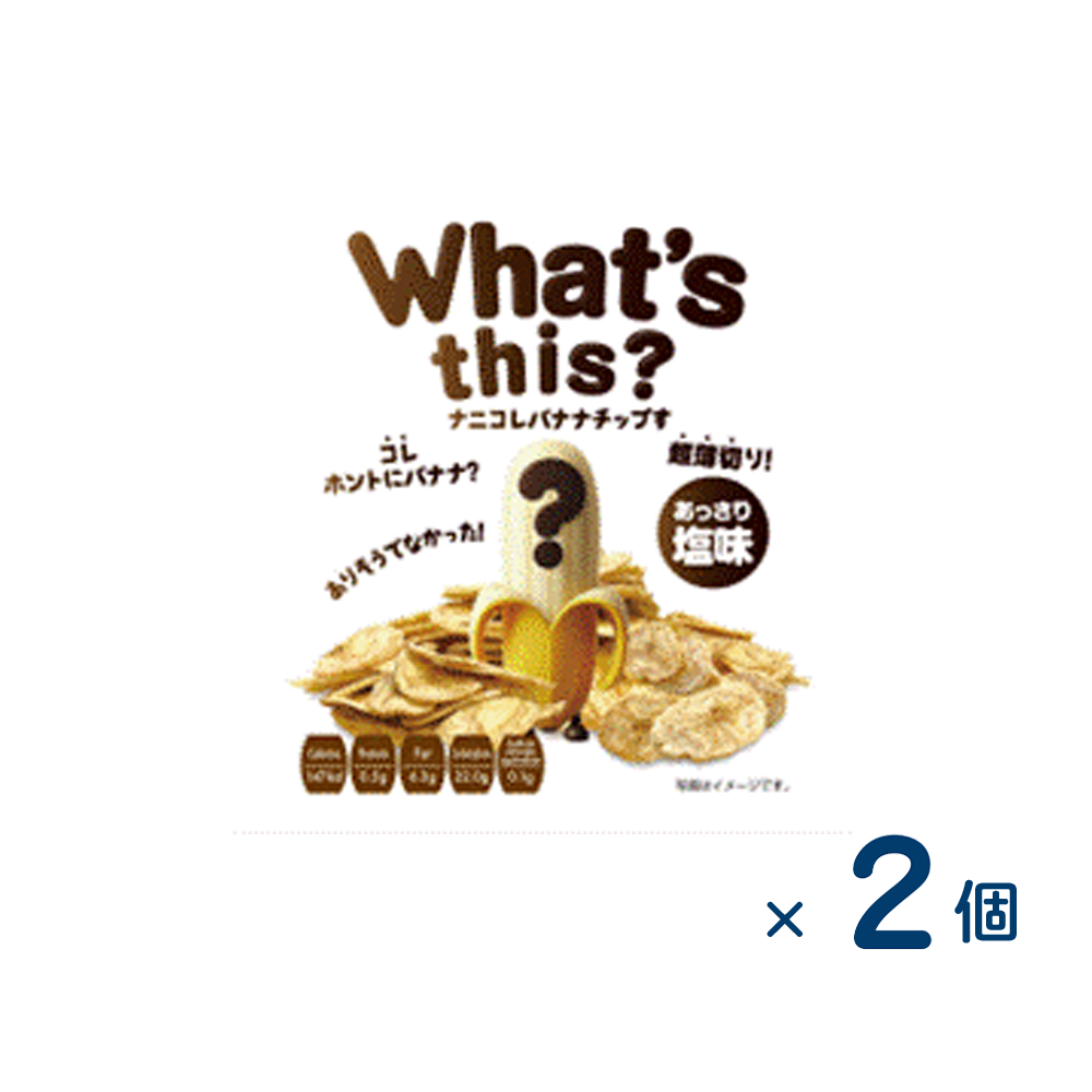 【セット売り】ナニコレバナナチップす あっさり塩味（賞味期限2026/01/14）2個入り