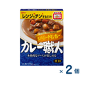【セット売り】グリコ カレー職人 スパイシーチキン 辛口（賞味期限2026/1/1）2個入り