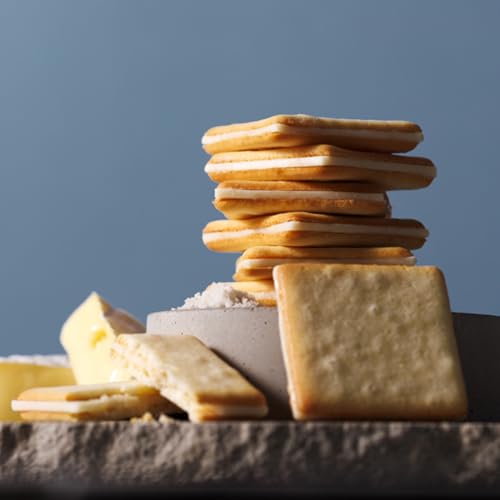 [Tokyo Milk Cheese Factory] Salt & Camembert Cookies Set of 9 (Expiration date: November 30, 2026)