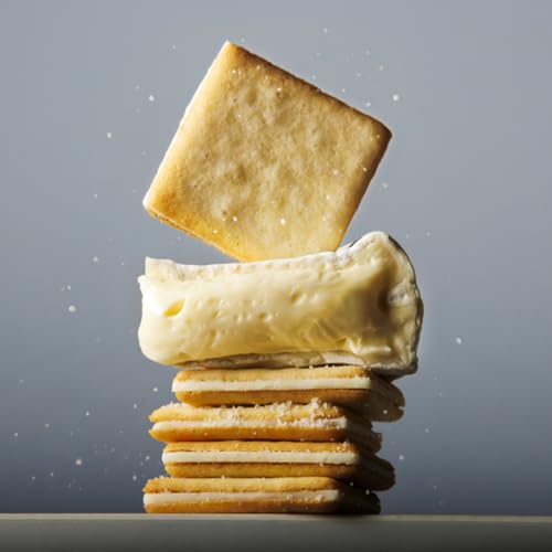 [Tokyo Milk Cheese Factory] Salt & Camembert Cookies Set of 9 (Expiration date: November 30, 2026)