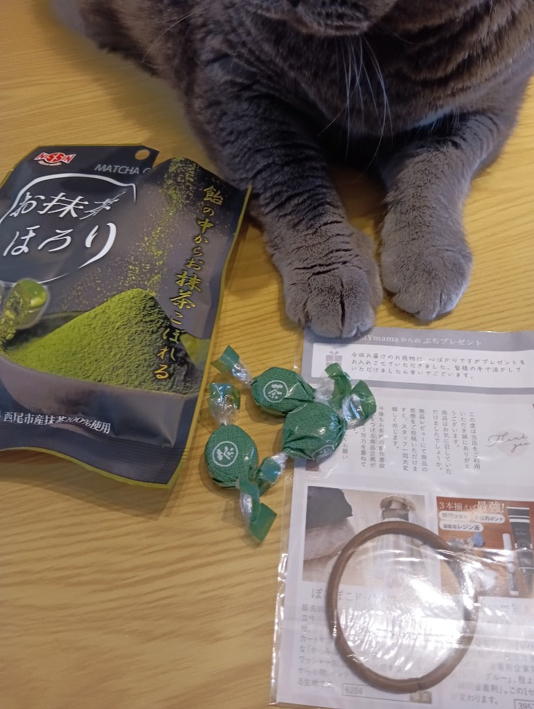 [Nisshin Seika] Omatcha Horori Matcha Candy